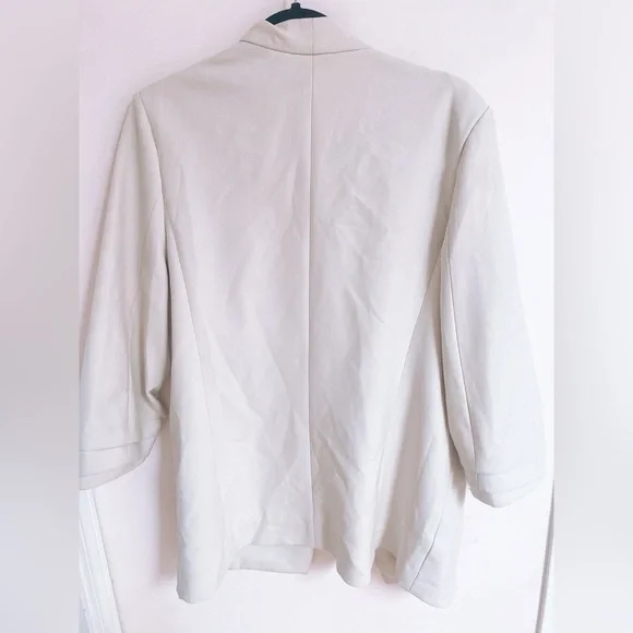 Aritzia Babaton New Power Blazer in Matte Pearl - Picture 3 of 11
